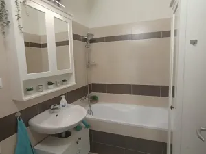 Pronájem bytu 3+kk, České Budějovice - České Budějovice 3, Riegrova, 70 m2
