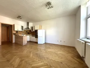 Pronájem bytu 3+kk, Plzeň - Jižní Předměstí, Vrchlického, 74 m2