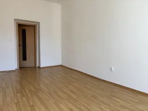 Pronájem bytu 3+kk, Plzeň - Jižní Předměstí, Vrchlického, 74 m2