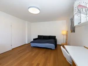 Prodej bytu 4+kk, Praha - Motol, U hrušky, 150 m2