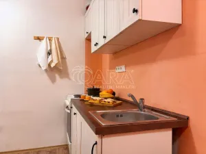 Pronájem bytu 1+kk, Prostějov, Lidická, 23 m2