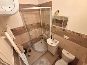 Pronájem bytu 1+kk, Prostějov, Lidická, 23 m2