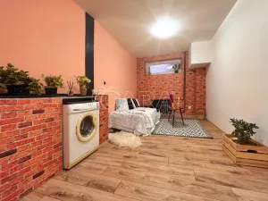 Pronájem bytu 1+kk, Prostějov, Lidická, 23 m2