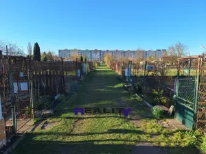 Prodej zahrady, Podbořany, Sídliště Míru, 165 m2