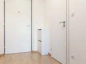 Prodej bytu 1+kk, Praha - Žižkov, Olgy Havlové, 37 m2