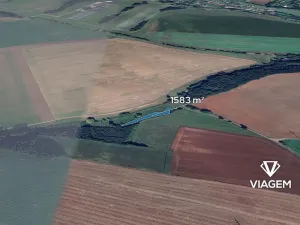 Prodej lesa, Moravská Třebová, 1583 m2