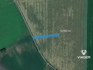 Prodej podílu pole, Víceměřice, 352 m2