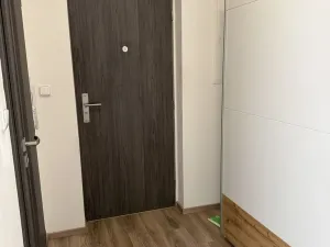 Pronájem bytu 2+1, Přeštice, Řičákova, 59 m2