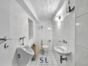 Prodej skladu, Cvikov, Žitavská, 248 m2