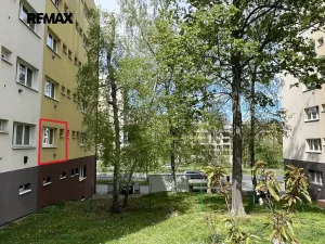 Pronájem bytu 1+kk, Praha - Břevnov, Patočkova, 31 m2