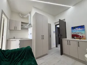 Pronájem bytu 1+1, Praha - Žižkov, Na Jarově, 35 m2