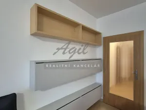 Pronájem bytu 1+kk, Brno, 56 m2