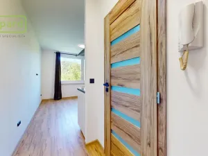 Prodej bytu 1+kk, Ústí nad Labem - Střekov, Tolstého, 20 m2