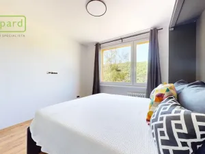 Prodej bytu 1+kk, Ústí nad Labem - Střekov, Tolstého, 20 m2