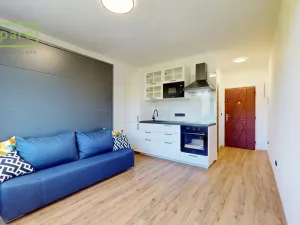 Prodej bytu 1+kk, Ústí nad Labem - Střekov, Tolstého, 20 m2