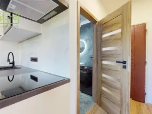 Prodej bytu 1+kk, Ústí nad Labem - Střekov, Tolstého, 20 m2