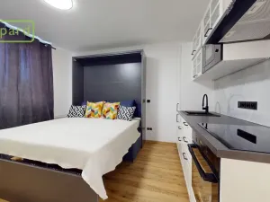 Prodej bytu 1+kk, Ústí nad Labem - Střekov, Tolstého, 20 m2