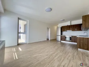 Pronájem bytu 3+kk, Dašice, U Kasáren, 69 m2