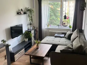 Pronájem bytu 2+kk, Třinec, Seifertova, 50 m2