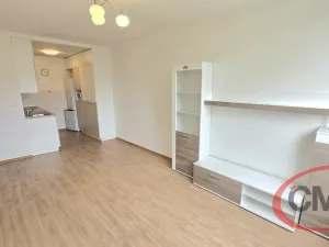 Pronájem bytu 2+kk, Praha, Hněvkovského, 41 m2