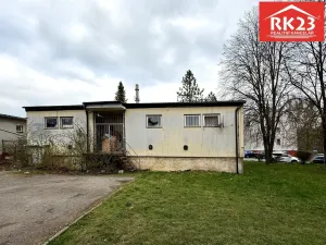 Prodej obchodního prostoru, Planá, Fučíkova, 200 m2