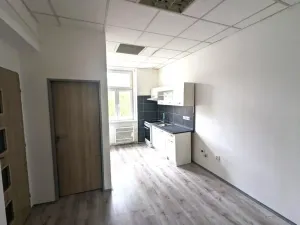 Pronájem bytu 2+kk, Ústí nad Labem - Ústí nad Labem-centrum, Moskevská, 46 m2