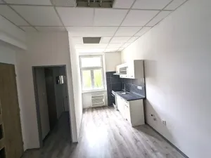 Pronájem bytu 2+kk, Ústí nad Labem - Ústí nad Labem-centrum, Moskevská, 46 m2