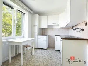 Prodej bytu 1+1, Kladno - Kročehlavy, U výtopny, 28 m2
