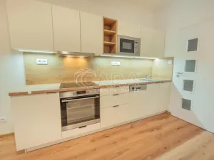 Pronájem bytu 1+kk, Buštěhrad, Žižkova, 27 m2