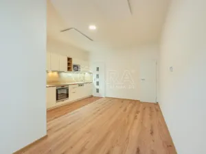 Pronájem bytu 1+kk, Buštěhrad, Žižkova, 27 m2