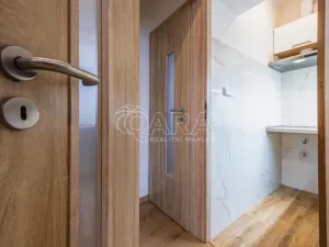 Pronájem bytu 1+kk, Praha - Malešice, U tvrze, 27 m2