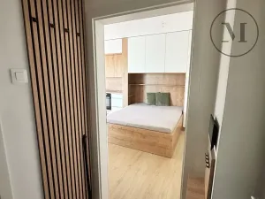 Pronájem bytu 1+kk, České Budějovice, Nádražní, 22 m2