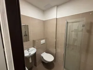 Pronájem bytu 1+kk, Čáslav - Čáslav-Nové Město, Boženy Němcové, 30 m2