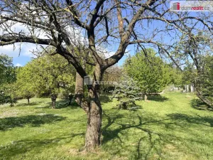 Prodej zahrady, Mikulov, Bezručova, 888 m2