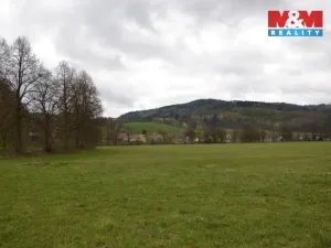 Prodej louky, Náchod - Běloves, 20495 m2