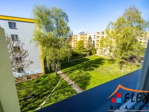 Pronájem bytu 2+1, Karviná, Borovského, 50 m2