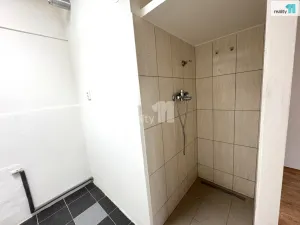 Pronájem kanceláře, Praha - Žižkov, Biskupcova, 45 m2