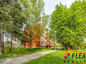 Pronájem bytu 2+kk, Ostrava - Hrabůvka, Krestova, 54 m2