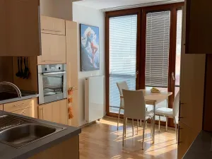 Pronájem bytu 2+kk, Beroun - Beroun-Město, Nad Paloučkem, 58 m2