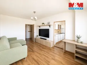 Prodej bytu 1+1, Ostrava - Hrabůvka, Dr. Martínka, 38 m2