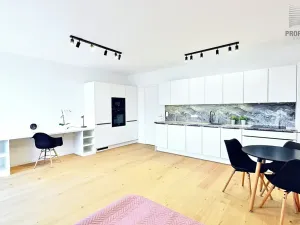 Pronájem bytu 1+kk, Brno, Bratislavská, 44 m2