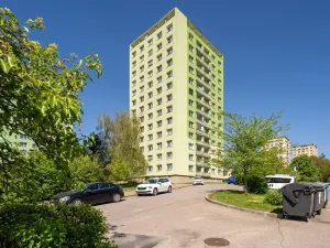 Prodej bytu 1+kk, Brno, Novoměstská, 30 m2