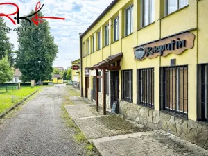 Prodej obchodního prostoru, Chlum u Třeboně, Třeboňská, 1058 m2