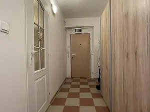 Pronájem bytu 2+1, Mladá Boleslav, Purkyňova, 64 m2