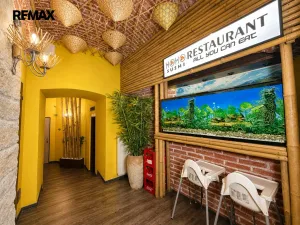 Pronájem restaurace, Praha - Nové Město, Štěpánská, 298 m2