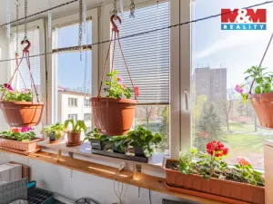 Prodej bytu 3+1, Cheb, Lomená, 60 m2