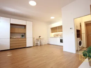 Pronájem bytu 2+kk, Brno - Brno-město, Jezuitská, 41 m2