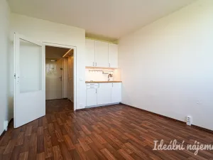 Pronájem bytu 1+kk, Brno, Halasovo náměstí, 20 m2
