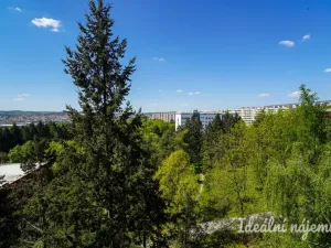 Pronájem bytu 1+kk, Brno, Halasovo náměstí, 20 m2