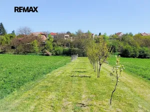 Prodej zahrady, Sokolnice, 1667 m2